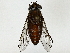  ( - BIOUG89986-H09)  @11 [ ] CreativeCommons - Attribution (2022) CBG Photography Group Centre for Biodiversity Genomics