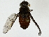  ( - BIOUG89986-H10)  @11 [ ] CreativeCommons - Attribution (2022) CBG Photography Group Centre for Biodiversity Genomics