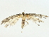  ( - BIOUG95315-F01)  @11 [ ] CreativeCommons - Attribution (2022) CBG Photography Group Centre for Biodiversity Genomics