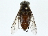  ( - BIOUG95316-D08)  @11 [ ] CreativeCommons - Attribution (2023) CBG Photography Group Centre for Biodiversity Genomics