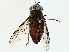  ( - BIOUG95316-E02)  @11 [ ] CreativeCommons - Attribution (2023) CBG Photography Group Centre for Biodiversity Genomics