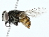  ( - BIOUG91324-B09)  @11 [ ] CreativeCommons - Attribution (2022) CBG Photography Group Centre for Biodiversity Genomics