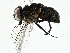  ( - BIOUG91324-C02)  @11 [ ] CreativeCommons - Attribution (2022) CBG Photography Group Centre for Biodiversity Genomics