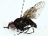  ( - BIOUG91324-C10)  @11 [ ] CreativeCommons - Attribution (2022) CBG Photography Group Centre for Biodiversity Genomics