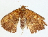  ( - BIOUG91325-A03)  @11 [ ] CreativeCommons - Attribution (2022) CBG Photography Group Centre for Biodiversity Genomics