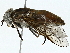  ( - BIOUG91325-B06)  @11 [ ] CreativeCommons - Attribution (2022) CBG Photography Group Centre for Biodiversity Genomics