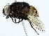  ( - BIOUG91325-G06)  @11 [ ] CreativeCommons - Attribution (2022) CBG Photography Group Centre for Biodiversity Genomics