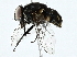  ( - BIOUG91325-G07)  @11 [ ] CreativeCommons - Attribution (2022) CBG Photography Group Centre for Biodiversity Genomics