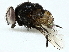  ( - BIOUG91325-G08)  @11 [ ] CreativeCommons - Attribution (2022) CBG Photography Group Centre for Biodiversity Genomics
