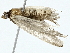  ( - BIOUG91326-F04)  @11 [ ] CreativeCommons - Attribution (2022) CBG Photography Group Centre for Biodiversity Genomics