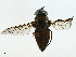  ( - BIOUG91328-F02)  @11 [ ] CreativeCommons - Attribution (2023) CBG Photography Group Centre for Biodiversity Genomics