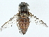  ( - BIOUG95317-G11)  @11 [ ] CreativeCommons - Attribution (2023) CBG Photography Group Centre for Biodiversity Genomics