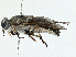  ( - BIOUG95320-F01)  @11 [ ] CreativeCommons - Attribution (2023) CBG Photography Group Centre for Biodiversity Genomics