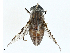  ( - BIOUG98701-D05)  @11 [ ] CreativeCommons - Attribution (2023) CBG Photography Group Centre for Biodiversity Genomics