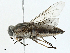  ( - BIOUG98702-C02)  @11 [ ] CreativeCommons - Attribution (2023) CBG Photography Group Centre for Biodiversity Genomics