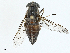  ( - BIOUG98702-C03)  @11 [ ] CreativeCommons - Attribution (2023) CBG Photography Group Centre for Biodiversity Genomics