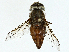  ( - BIOUG98695-H02)  @11 [ ] CreativeCommons - Attribution (2023) CBG Photography Group Centre for Biodiversity Genomics