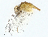  ( - BIOUG98696-H09)  @11 [ ] CreativeCommons - Attribution (2023) CBG Photography Group Centre for Biodiversity Genomics