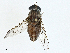  ( - BIOUG98698-D03)  @11 [ ] CreativeCommons - Attribution (2023) CBG Photography Group Centre for Biodiversity Genomics