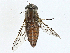  ( - BIOUG98698-D04)  @11 [ ] CreativeCommons - Attribution (2023) CBG Photography Group Centre for Biodiversity Genomics