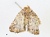  ( - CBG-A13273-B07)  @11 [ ] CreativeCommons - Attribution Share - Alike (2023) CBG Photography Group Centre for Biodiversity Genomics