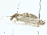  ( - BIOUG98704-H05)  @11 [ ] CreativeCommons - Attribution (2023) CBG Photography Group Centre for Biodiversity Genomics
