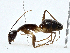  ( - BIOUG98708-C10)  @11 [ ] CreativeCommons - Attribution (2023) CBG Photography Group Centre for Biodiversity Genomics