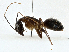  ( - CBG-A00323-F02)  @11 [ ] CreativeCommons - Attribution (2023) CBG Photography Group Centre for Biodiversity Genomics