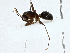  ( - CBG-A00323-F12)  @11 [ ] CreativeCommons - Attribution (2023) CBG Photography Group Centre for Biodiversity Genomics
