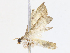  ( - CBG-A13275-C01)  @11 [ ] CreativeCommons - Attribution Share - Alike (2023) CBG Photography Group Centre for Biodiversity Genomics