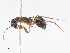  ( - CBG-A13275-G03)  @11 [ ] CreativeCommons - Attribution Share - Alike (2023) CBG Photography Group Centre for Biodiversity Genomics