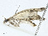  ( - CBG-A00324-G10)  @11 [ ] CreativeCommons - Attribution (2023) CBG Photography Group Centre for Biodiversity Genomics