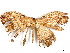  ( - CBG-A00324-H06)  @11 [ ] CreativeCommons - Attribution (2023) CBG Photography Group Centre for Biodiversity Genomics