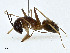  ( - CBG-A00325-C12)  @11 [ ] CreativeCommons - Attribution (2023) CBG Photography Group Centre for Biodiversity Genomics