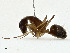  ( - CBG-A00325-D01)  @11 [ ] CreativeCommons - Attribution (2023) CBG Photography Group Centre for Biodiversity Genomics