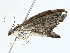  ( - CBG-A00326-A03)  @11 [ ] CreativeCommons - Attribution (2023) CBG Photography Group Centre for Biodiversity Genomics