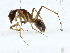  ( - CBG-A00326-G07)  @11 [ ] CreativeCommons - Attribution (2023) CBG Photography Group Centre for Biodiversity Genomics