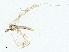  ( - CBG-A00327-H03)  @11 [ ] CreativeCommons - Attribution (2023) CBG Photography Group Centre for Biodiversity Genomics