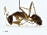  ( - CBG-A00329-C06)  @11 [ ] CreativeCommons - Attribution (2023) CBG Photography Group Centre for Biodiversity Genomics