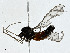 ( - CBG-A00329-F02)  @11 [ ] CreativeCommons - Attribution (2023) CBG Photography Group Centre for Biodiversity Genomics