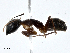  ( - CBG-A00342-B06)  @11 [ ] CreativeCommons - Attribution (2023) CBG Photography Group Centre for Biodiversity Genomics