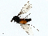  ( - CBG-A01198-H10)  @11 [ ] CreativeCommons - Attribution (2023) CBG Photography Group Centre for Biodiversity Genomics