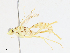  ( - CBG-A13258-D02)  @11 [ ] CreativeCommons - Attribution Share - Alike (2023) CBG Photography Group Centre for Biodiversity Genomics