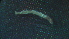 ( - 1G12)  @12 [ ] Copyright (2012) Jeffrey Ram Wayne State University School of Medicine