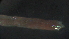  ( - 2S12)  @12 [ ] Copyright (2012) Jeffrey Ram Wayne State University School of Medicine