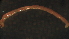  ( - 2T16)  @12 [ ] Copyright (2012) Jeffrey Ram Wayne State University School of Medicine