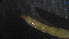  ( - 3T20)  @12 [ ] Copyright (2012) Jeffrey Ram Wayne State University School of Medicine