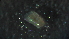  (Branchiura - 3V16)  @12 [ ] Copyright (2012) Jeffrey Ram Wayne State University School of Medicine