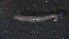  ( - 3W25)  @12 [ ] Copyright (2012) Jeffrey Ram Wayne State University School of Medicine