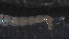  ( - 3W25)  @12 [ ] Copyright (2012) Jeffrey Ram Wayne State University School of Medicine